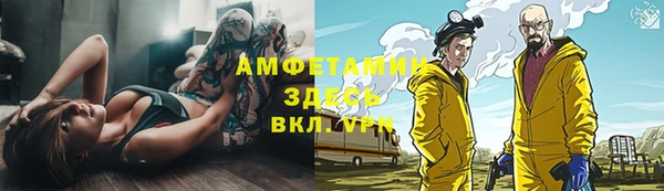 твердый Алзамай