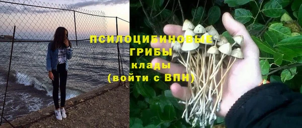 крисы Вязьма