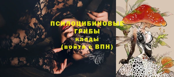 прущие крисы Алексеевка