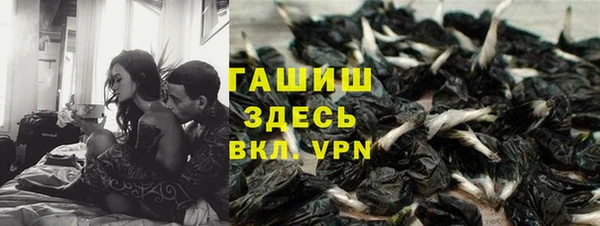 твердый Алзамай