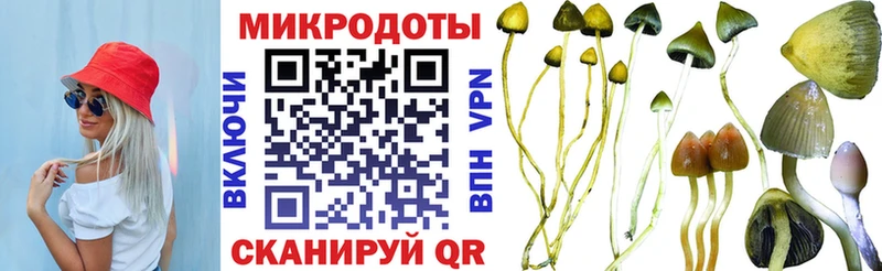Галлюциногенные грибы Cubensis  как найти закладки  Сочи 